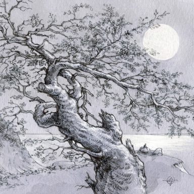 Zeichnung eines alten Baums bei Nacht mit Vollmond in ruhiger Landschaft am Meer, im Hintergrund ein Mann am Ufer auf einem Stein sitzend