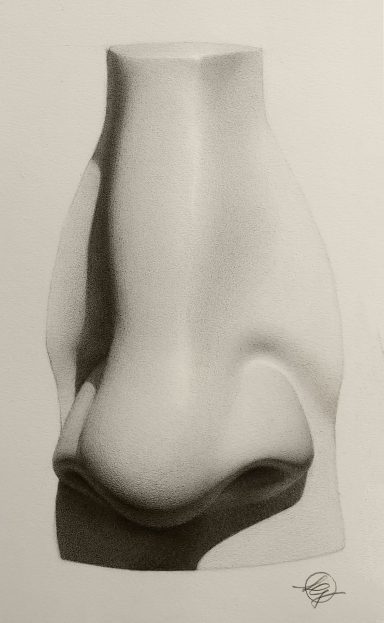 Klassische Studienzeichnung einer Gipsabformung der Nase von Michelangelos "David", Cast Drawing
