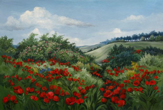 Bunt blühende Sommerwiese, Mohnblumen, sanften Hügel im Hintergrund unter einem blauen Himmel.